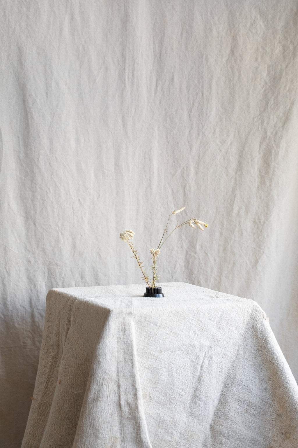 Kenzan Floral Frog