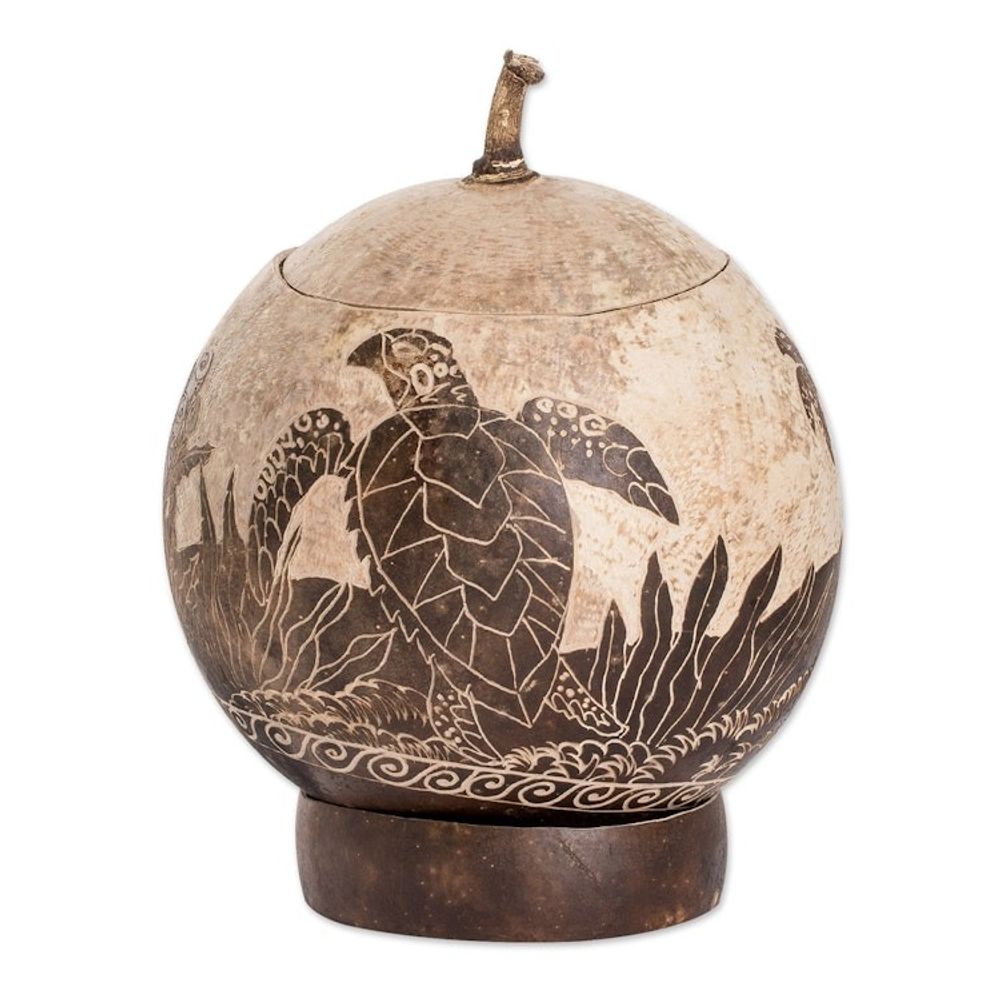 Sea Life-Themed Round Dried Gourd Decorative Accent 'Seafloor'
