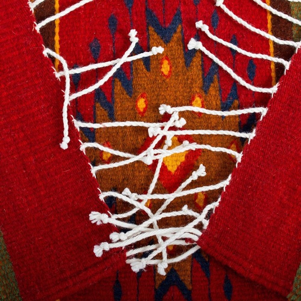 Unique Zapotec Wool Area Rug 2.5 X 10 'Lavish Earth'